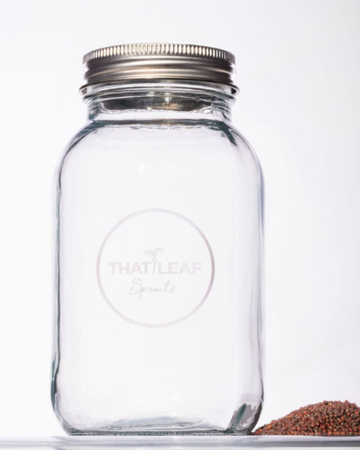 Sprouting Jar Kit – Duo (2 Jars)