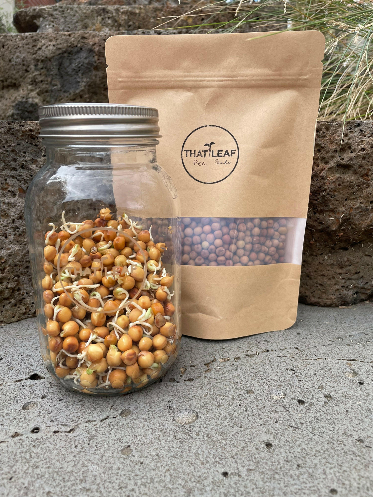 Pea Seeds for Sprouting & Microgreens 200g