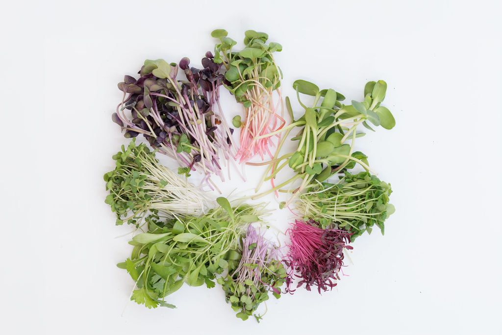 Wholesale