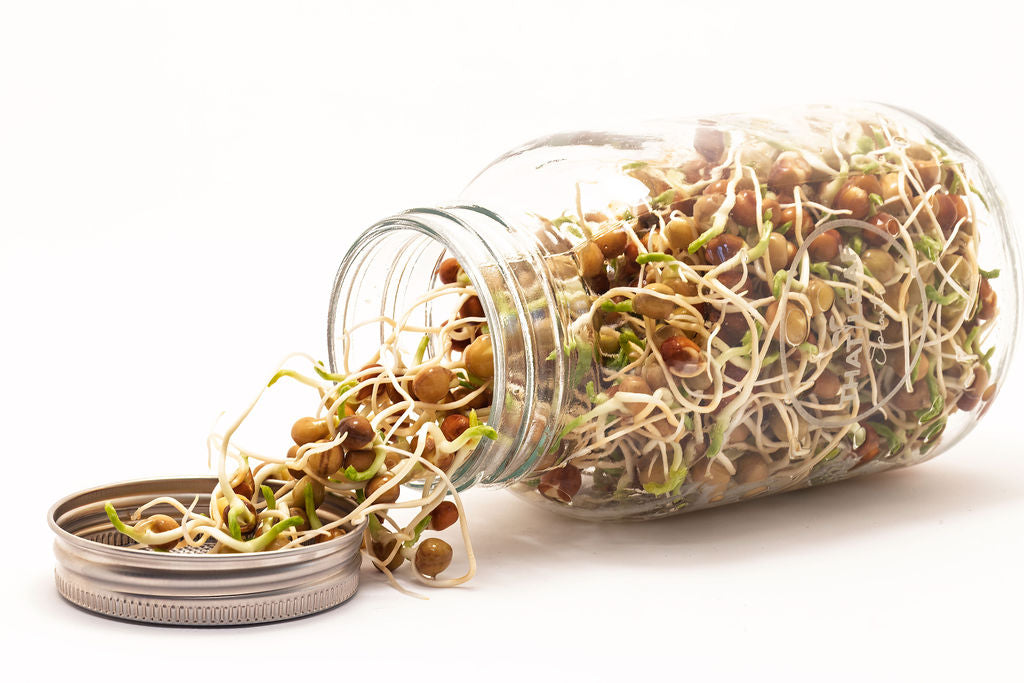 Broccoli, Pea and Pink Radish Seed Subscription