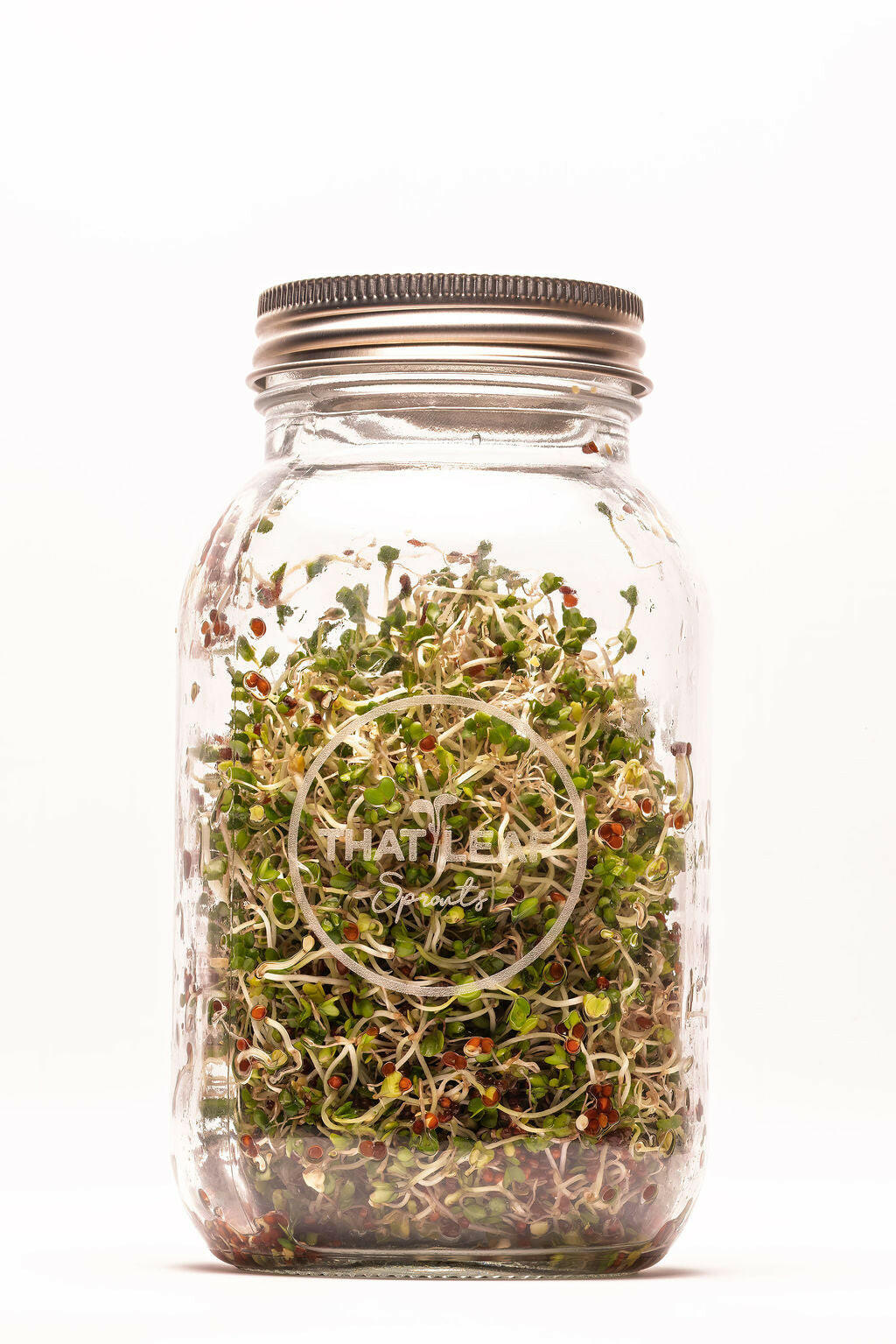 Sprouting Jar Kit – Quad (4 Jars)