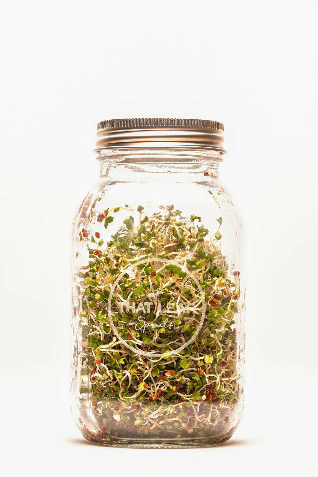 Sprouting Jar Kit Duo | 2 Glass Sprouting Jars + Seeds