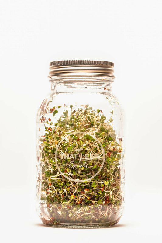 Sprouting Jar Kit Duo | 2 Glass Sprouting Jars + Seeds