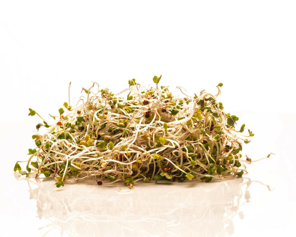 Sprouting Jar Kit Duo | 2 Glass Sprouting Jars + Seeds