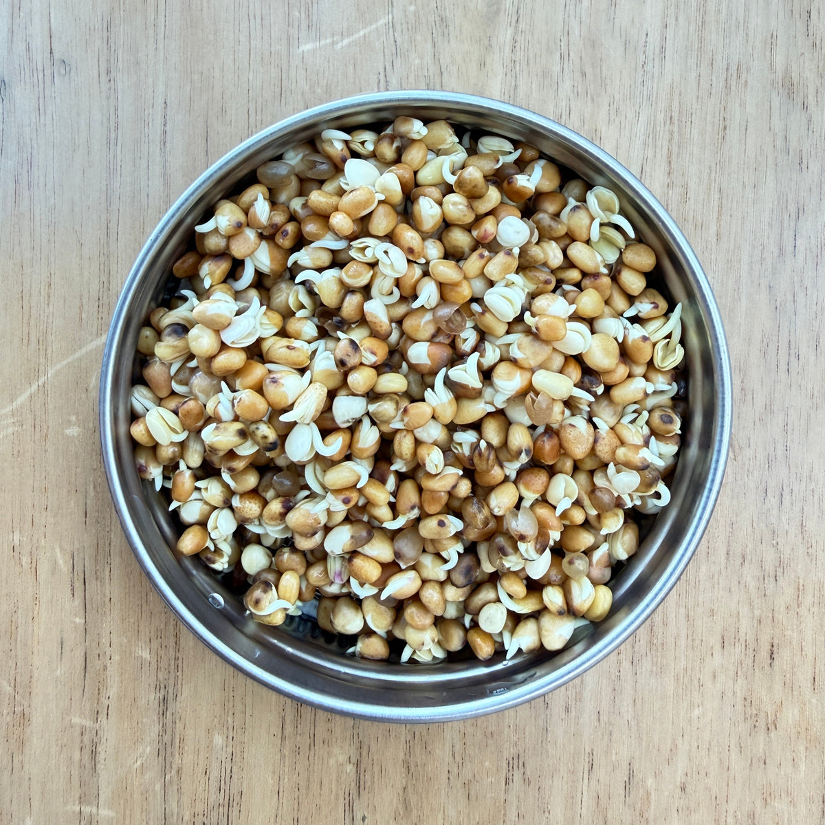 Pink Radish Seeds for Sprouting & Microgreens 100g