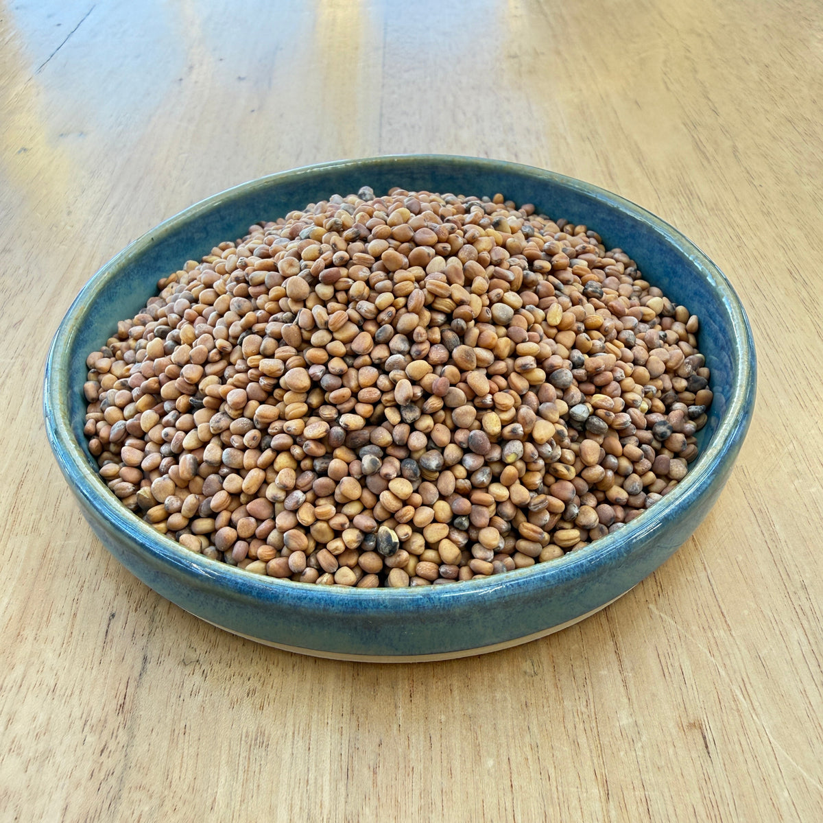 Pink Radish Seeds for Sprouting & Microgreens 100g