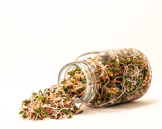 Broccoli, Pea and Pink Radish Sprouting Seed Bundle