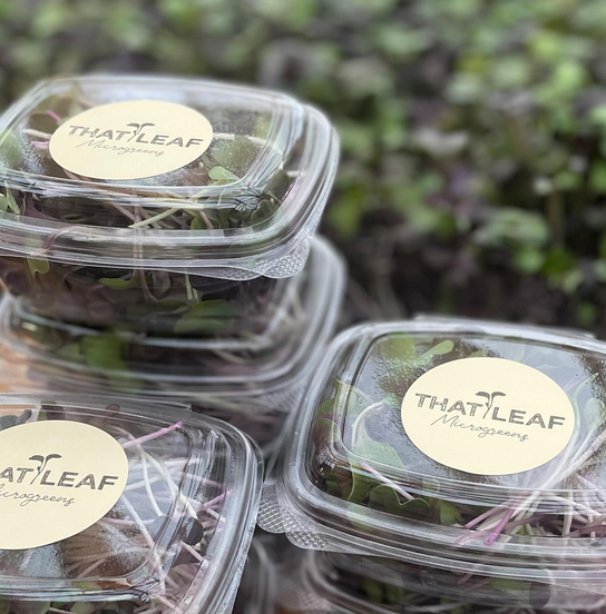 Fresh Microgreens | Local Pickup